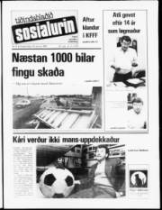 Síða 1