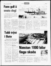 Síða 5