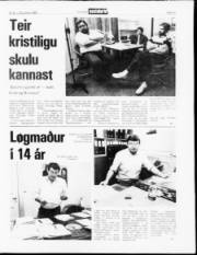 Síða 13