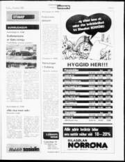 Síða 21