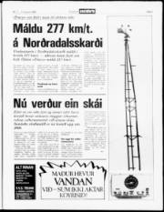 Síða 3