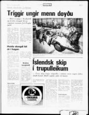 Síða 5