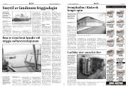 Síða 5