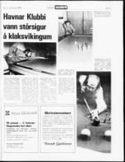 Síða 13