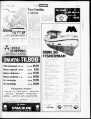 Síða 15