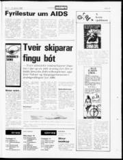 Síða 19