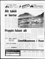 Síða 20