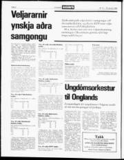 Síða 2