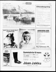 Síða 13