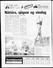 Síða 20