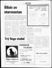 Síða 4