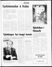 Síða 23