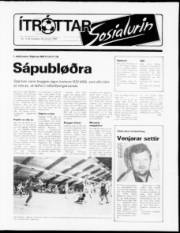 Síða 11