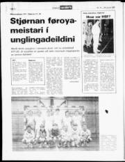 Síða 12