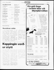 Síða 15