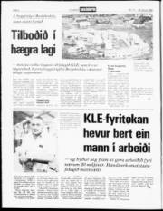 Síða 2
