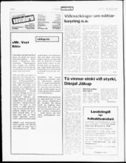 Síða 6