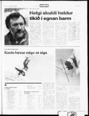 Síða 19
