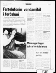 Síða 21