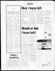 Síða 22