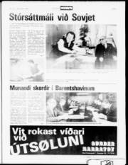 Síða 5