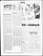 Síða 6