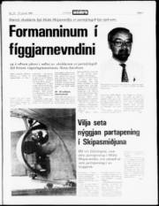 Síða 3