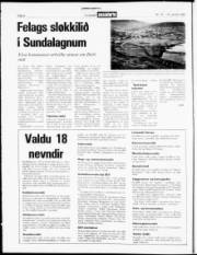 Síða 4