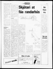 Síða 9