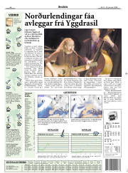 Síða 19