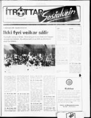 Síða 17