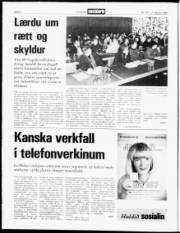Síða 2