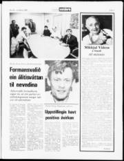 Síða 3