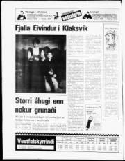 Síða 20