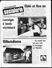 Síða 1