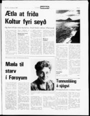 Síða 3