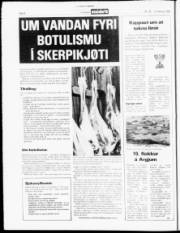 Síða 4