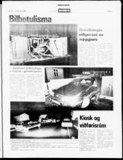 Síða 5