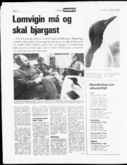 Síða 12