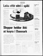 Síða 5