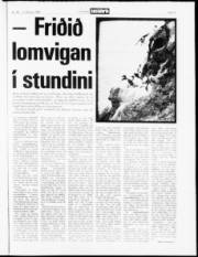 Síða 13