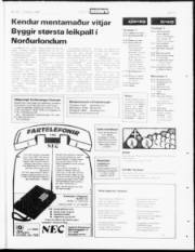 Síða 19