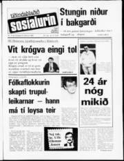 Síða 1