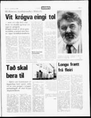Síða 3