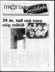 Síða 13