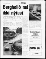 Síða 3