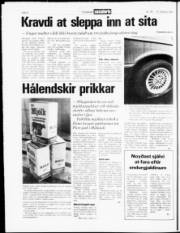 Síða 4