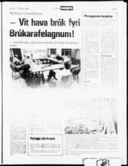 Síða 5