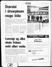 Síða 8