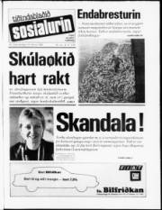 Síða 1
